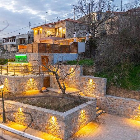 Lasithi Luxury Villa Mesa Lasithi Zewnętrze zdjęcie