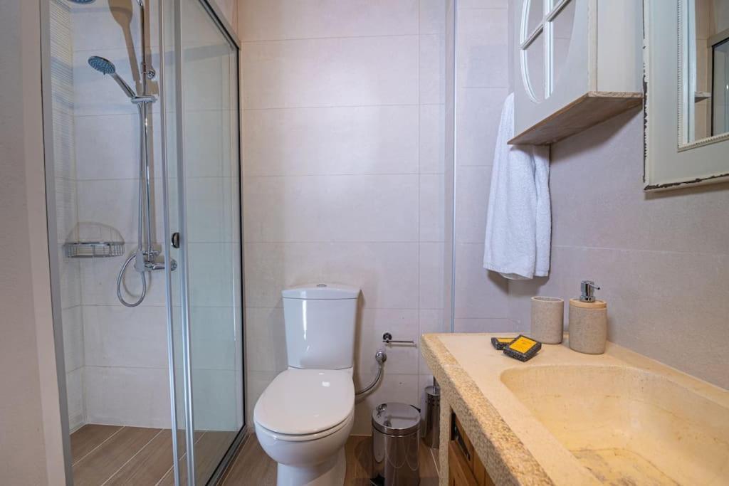 Lasithi Luxury Villa Mesa Lasithi Zewnętrze zdjęcie